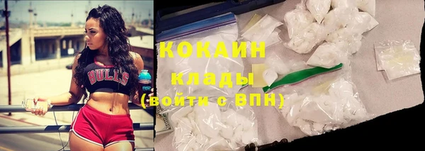 ГАЛЛЮЦИНОГЕННЫЕ ГРИБЫ Алзамай