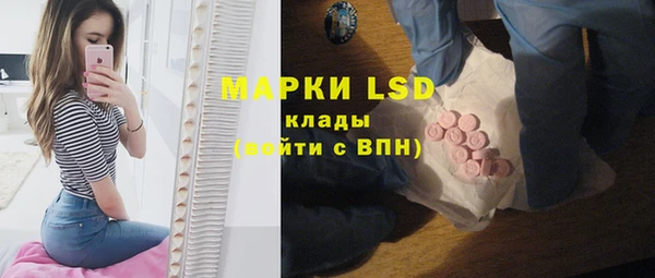 ГАЛЛЮЦИНОГЕННЫЕ ГРИБЫ Алзамай