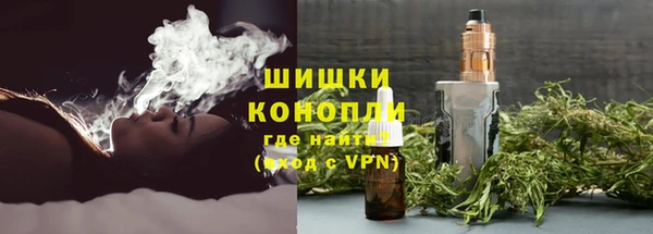 ГАЛЛЮЦИНОГЕННЫЕ ГРИБЫ Алзамай