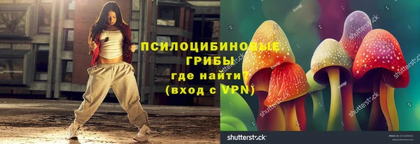 ГАЛЛЮЦИНОГЕННЫЕ ГРИБЫ Алзамай