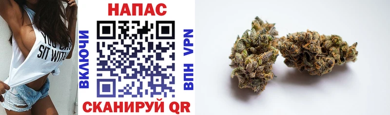 Бошки Шишки THC 21% Арск
